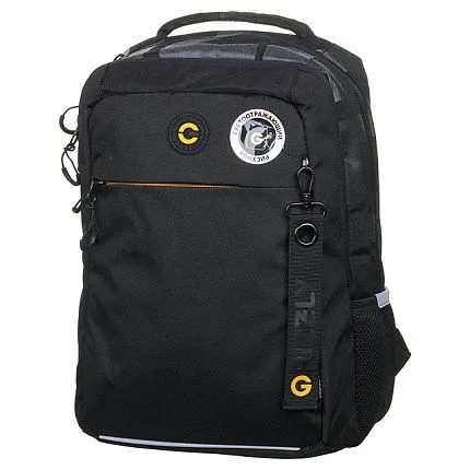 Рюкзак GRIZZLY [62-049-20]